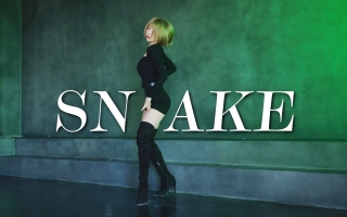 危 险 女 人 ■《Snake》沈小婷位翻跳