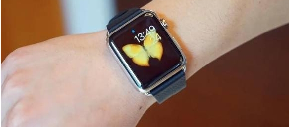 苹果Apple Watch Pro曝光 售价或接近iPhone13 Pro