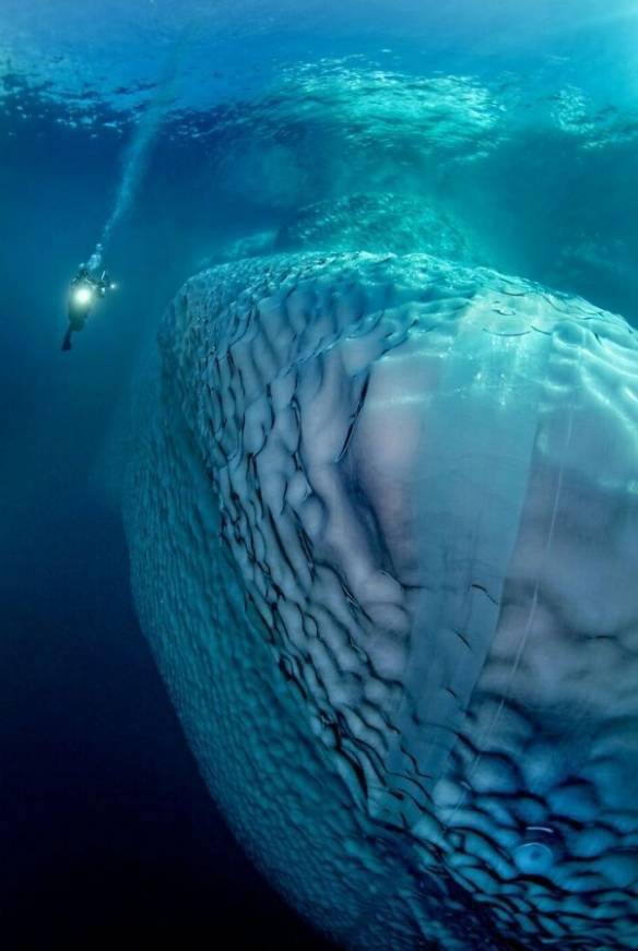 未知海洋！坐在水下深渊感受来自深海生物的凝望s3.jpeg